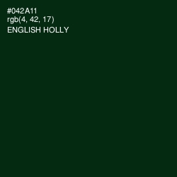 #042A11 - English Holly Color Image